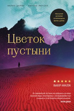 Читать рассказ бориса житкова галка