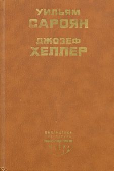скачать fb2 поправка-22