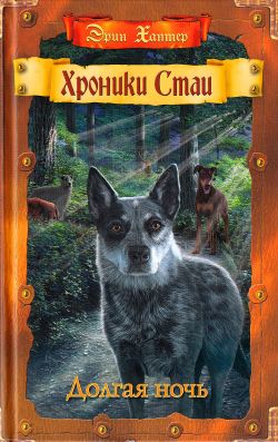 Долгая ночь - Эрин Хантер: скачать книгу FB2 | LitLib